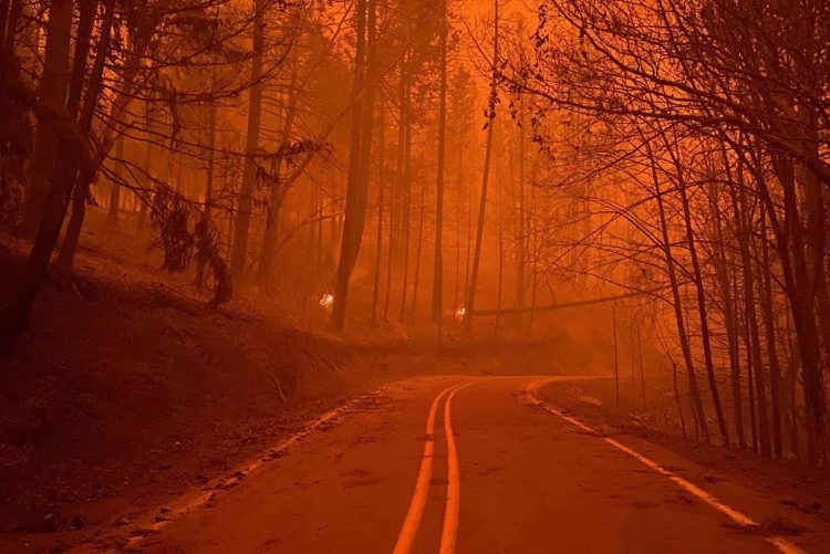 Archie Creek Fire along the Umpqua Hwy (OR 138) Photo taken Sept. 12, 2020. INCIWEB/NWCG (National Wildfire Coordinating Group)