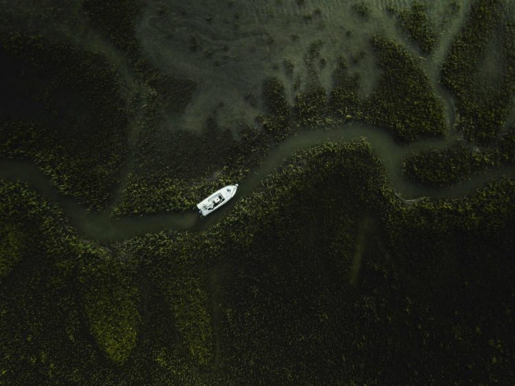 Redfish friendly habitat in Northeast Florida. Photo: Alex Coleman