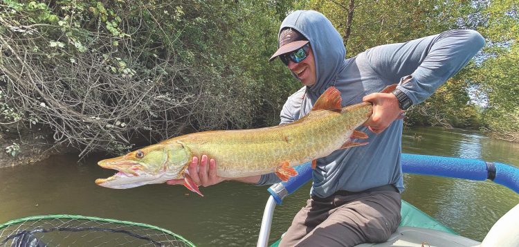 Musky Flies Feature Pic Photographer Brett Meany