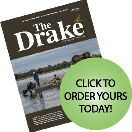 Drake Mag Cover Image Summer 2026