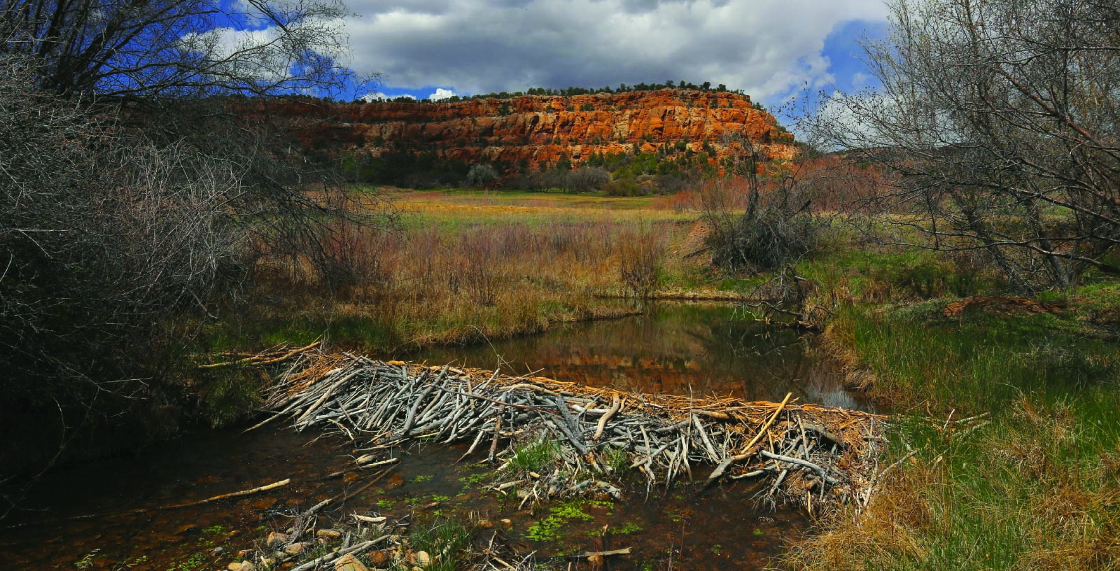 New Public Land in Colorado