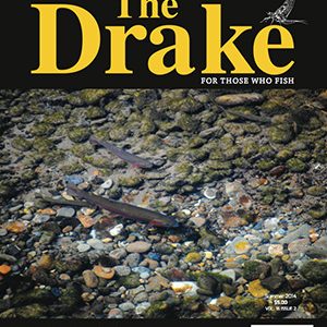 2014 Summer Issue