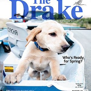 2015 Spring Issue