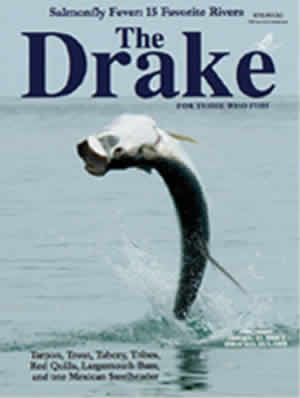 2009 Spring Issue