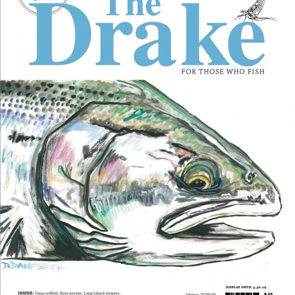 2018-19 Winter Issue