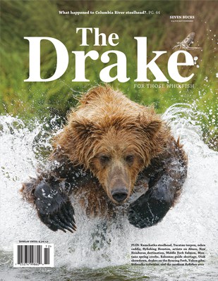 2017 Summer Issue