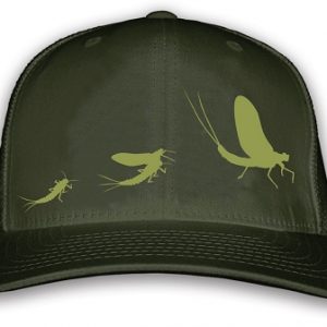 Rep Your Water Special Edition Drake Hat