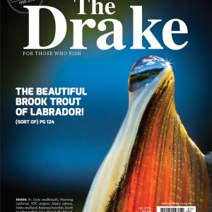 2018 Fall Issue